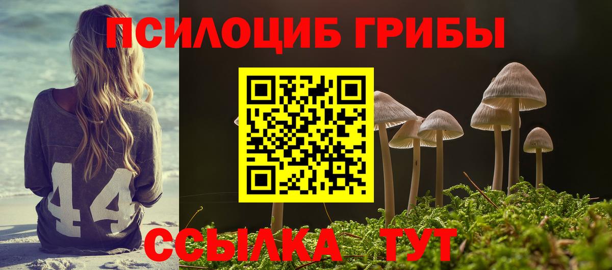 Галлюциногенные грибы Cubensis Жигулёвск